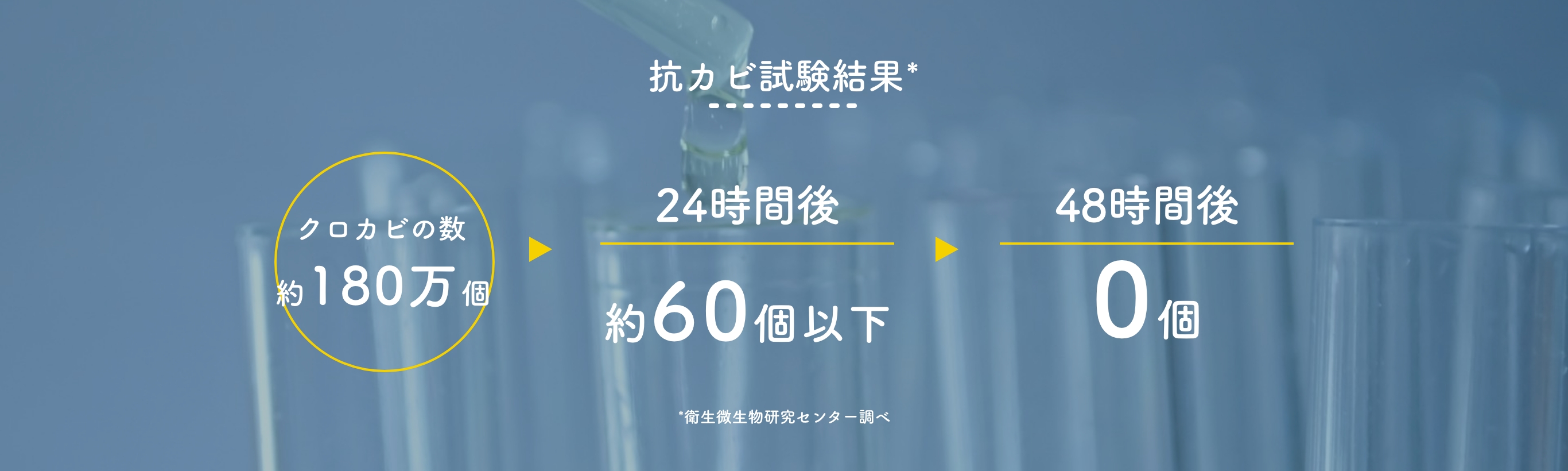 抗カビ試験結果